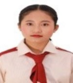 Sansuly Boro, Novotel Hotel